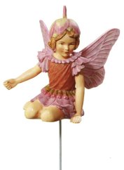 Zapich do doniczki Kwiatowa wróżka Konik polny