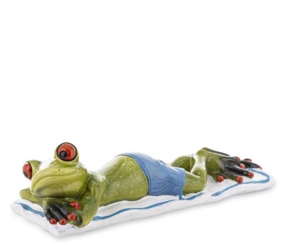Soca Frog am Strand