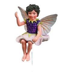 Zapich zum Blumentopf Blumenlieferung Fee Brombeere