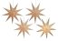 Beige poinsettia 9-point decoration 60 cm