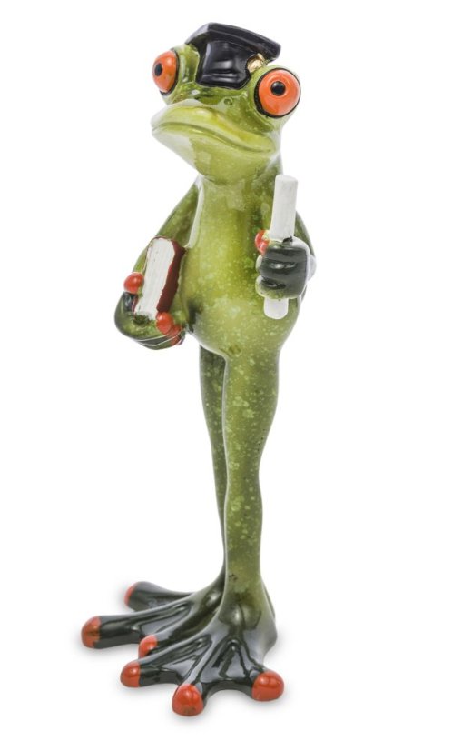 Sculpture Frog Graduate