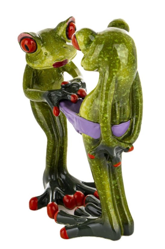 Soška Žaby Zvědavé