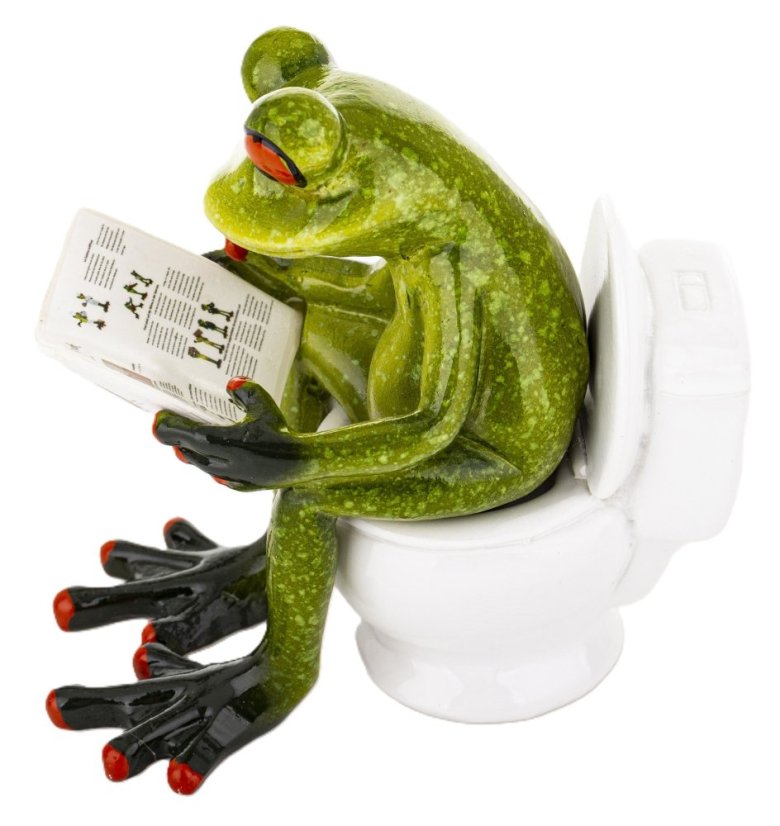 Socha žaby na záchode