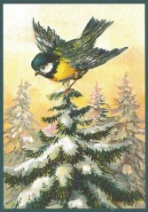 Kartka świąteczna Birdie