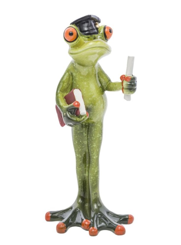 Soška Žaba Absolvent