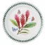 Ceramic plate Botanical garden - Exotic 20 cm