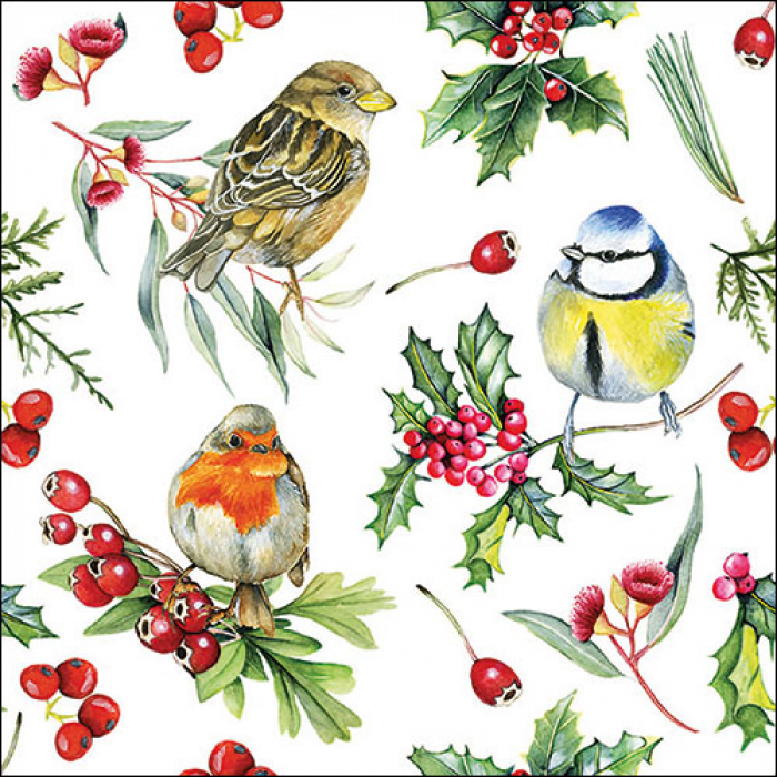 Christmas paper napkins Birds 20 pcs