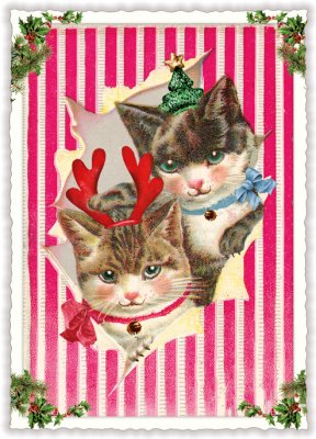 Christmas card Christmas cats 10,5 x 15 cm