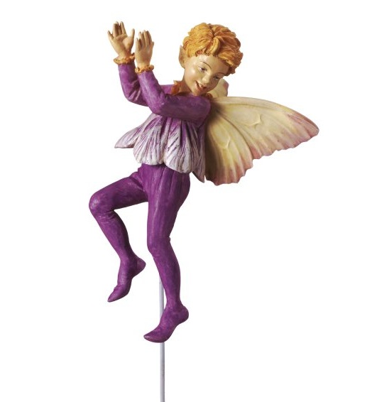Zapich zum Blumentopf Blumenlieferung Saffron Fairy