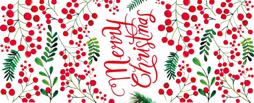Christmas satin ribbon Merry Christmas 3,8 cm x 15 meters