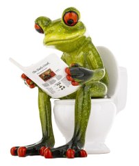 Socha žaby na záchode