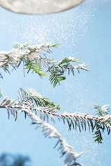 Artificial snow - Frost biodegradable 1 litre