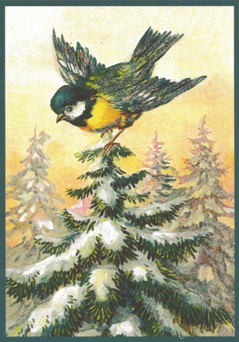 Christmas card Birdie