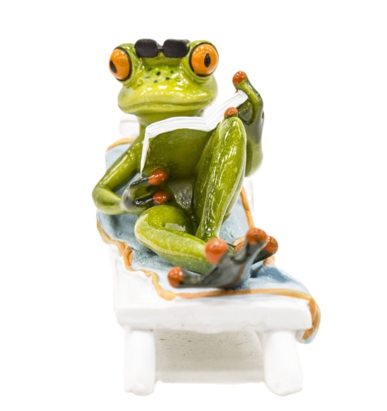 Soška Žaba na lehatku s knihou