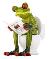 Socha žaby na záchode