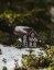 Ceramic candle holder House - Gingerbread house brown glossy 14 cm